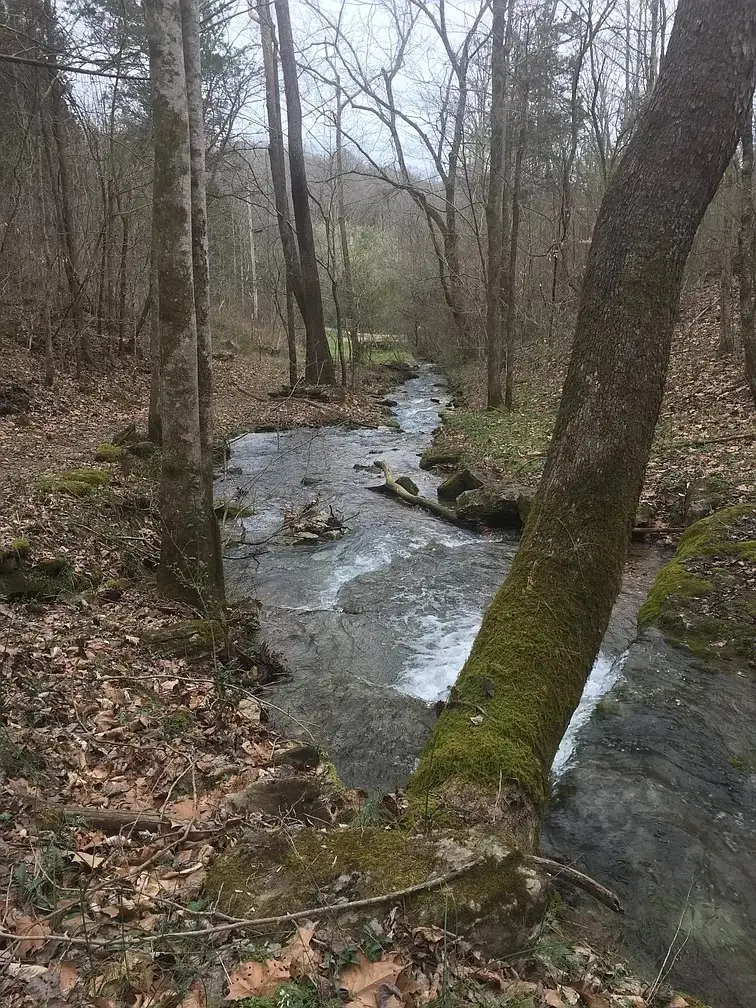 0 Old Highway 31e, Westmoreland, TN 37186 - #3