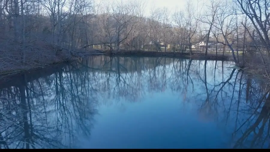 4 Enterprise Rd, Mount Pleasant, TN 38474 - #2