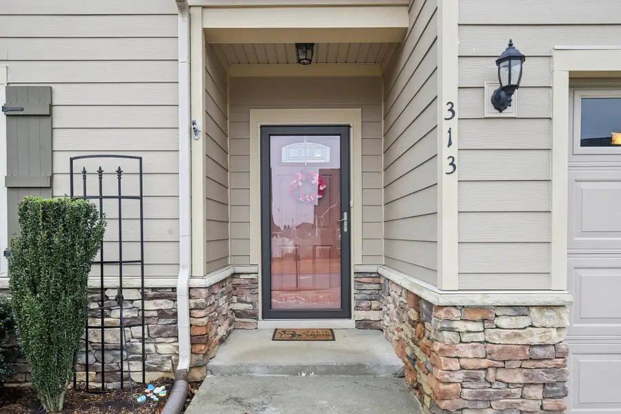 313 Mahubah Run, Smyrna, TN 37167 - #3