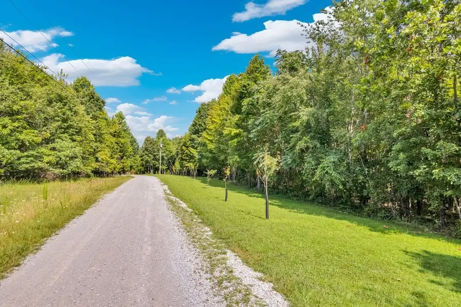 1280 Soak Creek Ln, Grandview, TN 37337 - #2