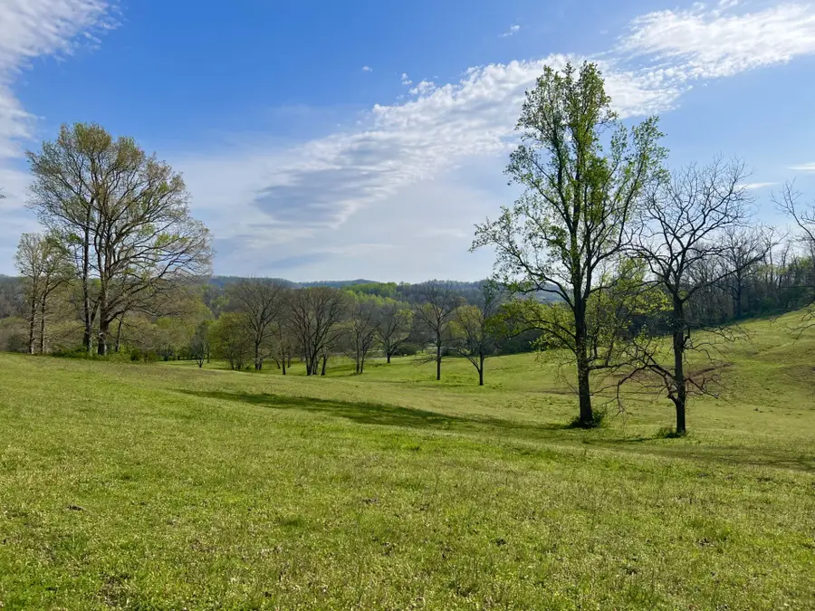 6628 Bethesda Arno Rd, Thompsons Station, TN 37179 - Image #2