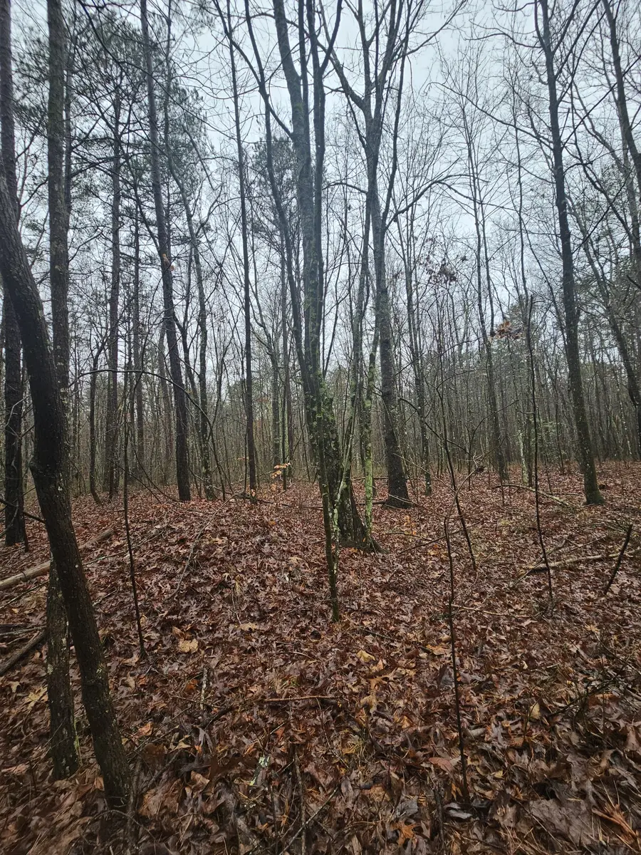 16 Highway 150, Sequatchie, TN 37374 - #2