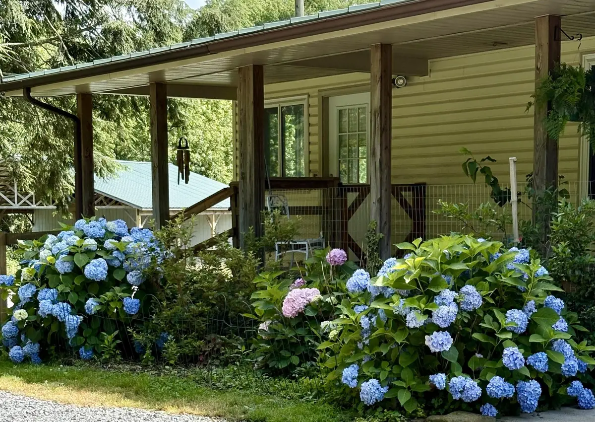 2208 Poe Road, Soddy Daisy, TN 37379 - #1