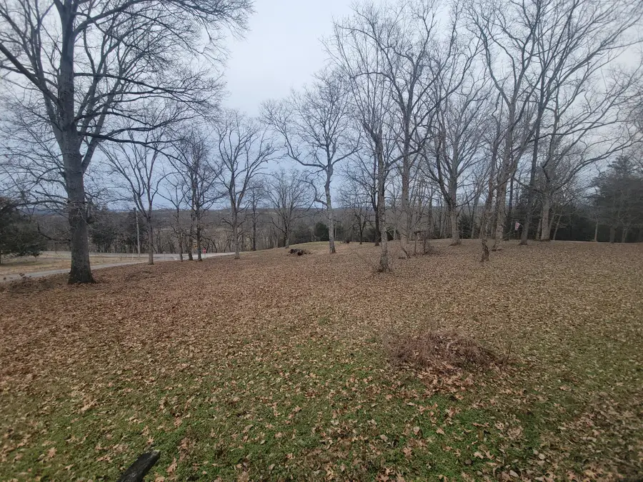 171 Trinity Hill Rd, Pulaski, TN 38478 - #2