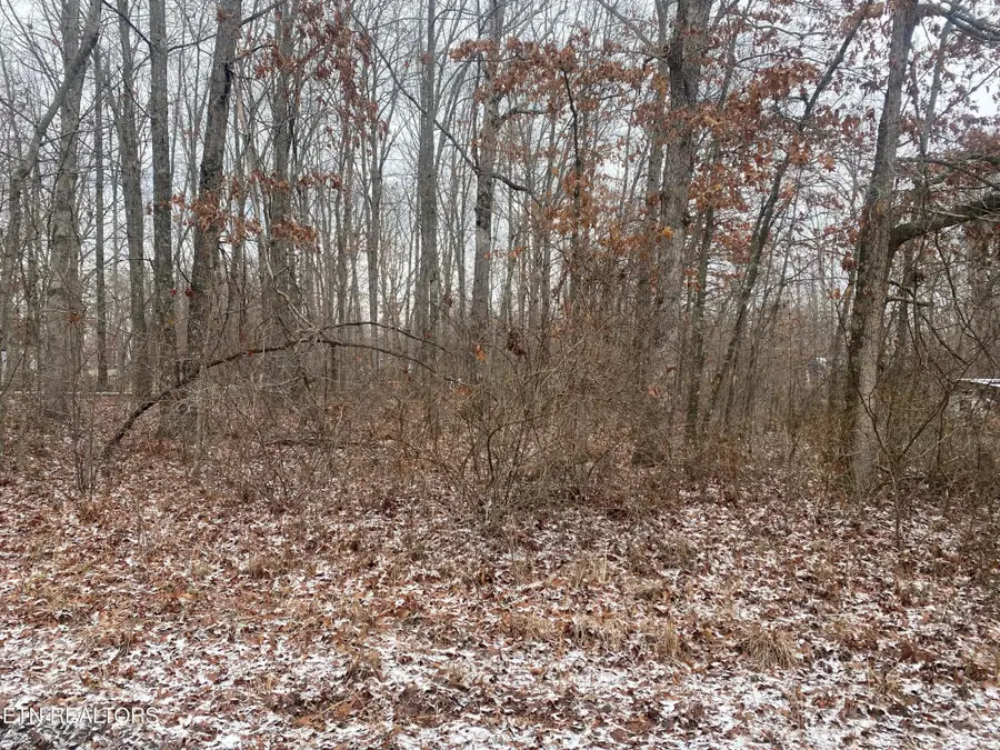 343 Bluebird Drive, Crossville, TN 38571 - #2