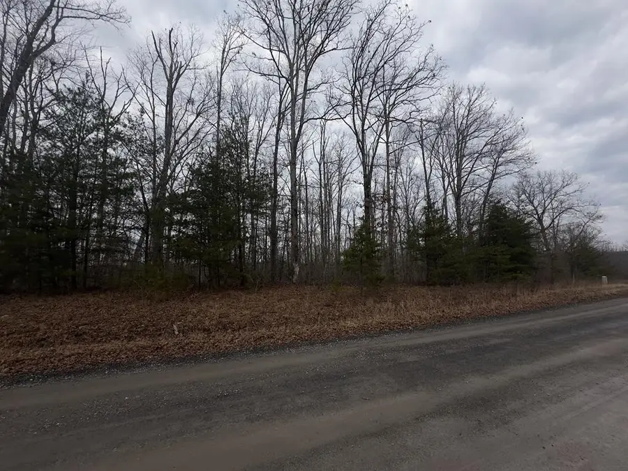 16R Stockton Bluffs Ln, Jamestown, TN 38556 - #2