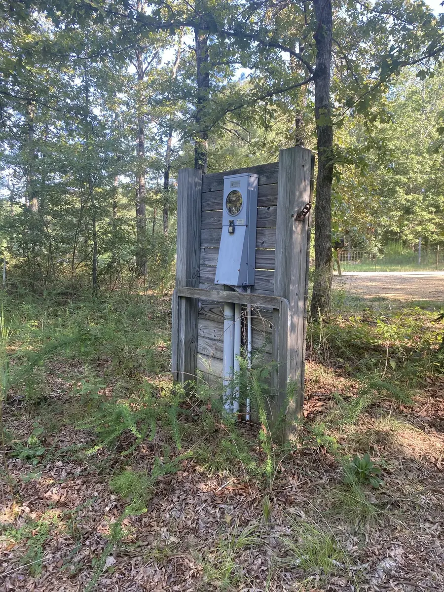 139 Lost Arrowhead Rd, Summertown, TN 38483 - #3