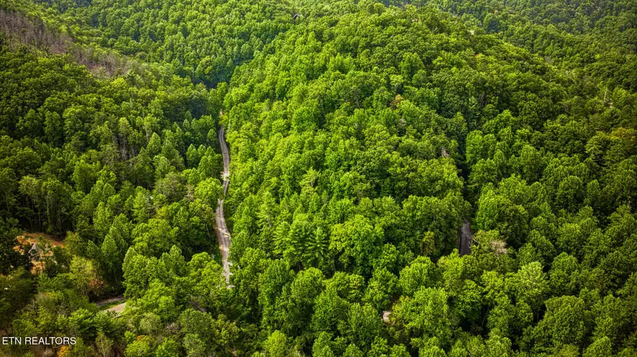 0 Stepping Stone Drive, Sevierville, TN 37862 - Image #3