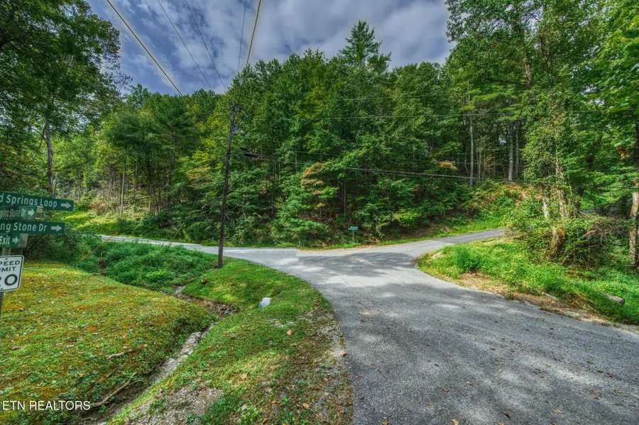 0 Lot 9 Stepping Stone Drive, Sevierville, TN 37862 - #2