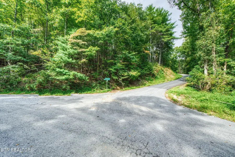 0 Lot 10 Stepping Stone Drive, Sevierville, TN 37862 - Image #2