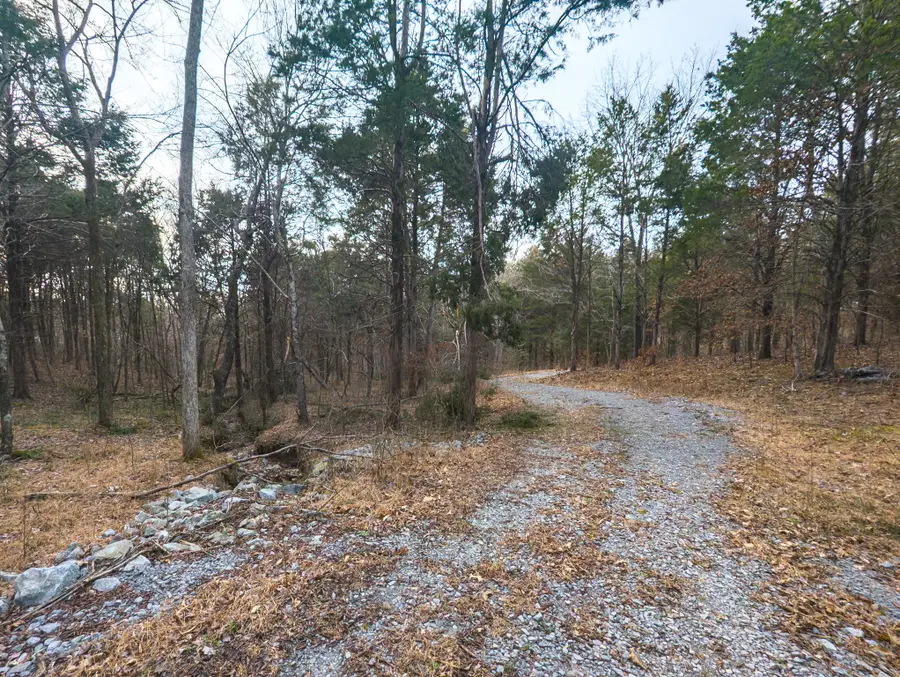 0 Mount Olive Rd, Westmoreland, TN 37186 - #3