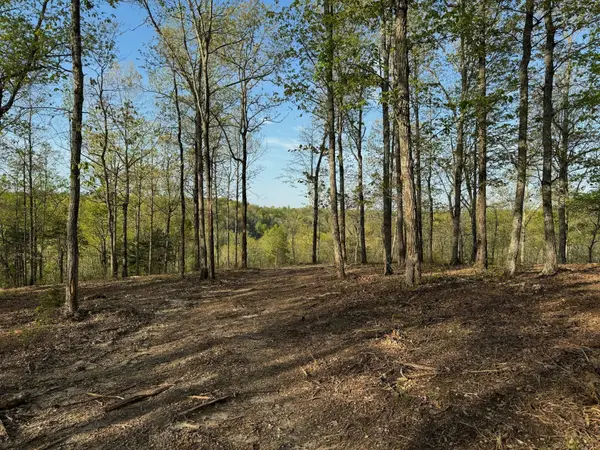 3900 Roan Creek Rd, Linden, TN 37096