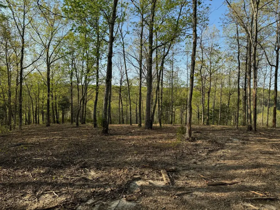 3900 Roan Creek Rd, Linden, TN 37096 - #3