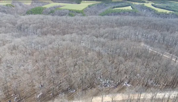 0 Three Rivers Drive, Hurricane Mills, TN 37078