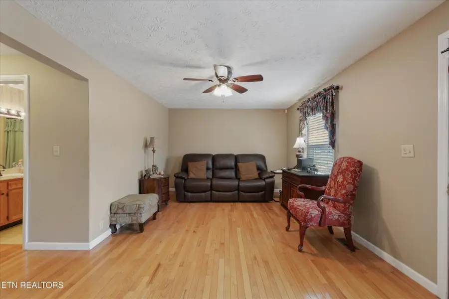 812 New Clear Branch Rd, Rocky Top, TN 37769 - #3