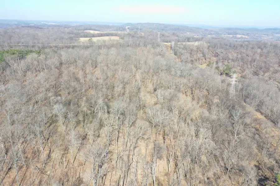 0 Dog Branch Rd, Mount Pleasant, TN 38474 - #2