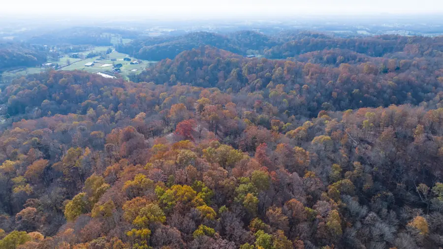 10 Brazier Lane, Gallatin, TN 37066 - #3