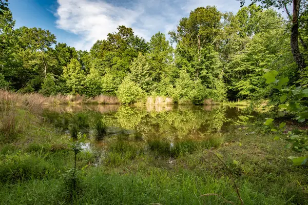 0 Pinewood Road, Nunnelly, TN 37137