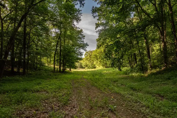 0 Pinewood Road, Nunnelly, TN 37137