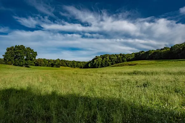 0 Pinewood Road, Nunnelly, TN 37137