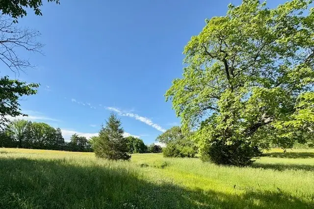 1 Topsy Store Rd, Waynesboro, TN 38485 - #3