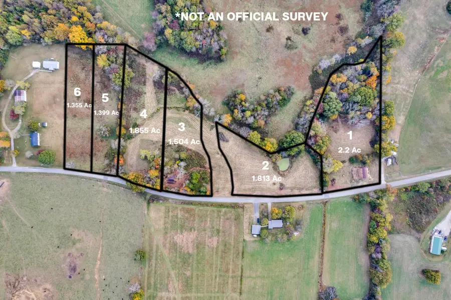 4200 Will Thompson Rd, Walling, TN 38587 - #2