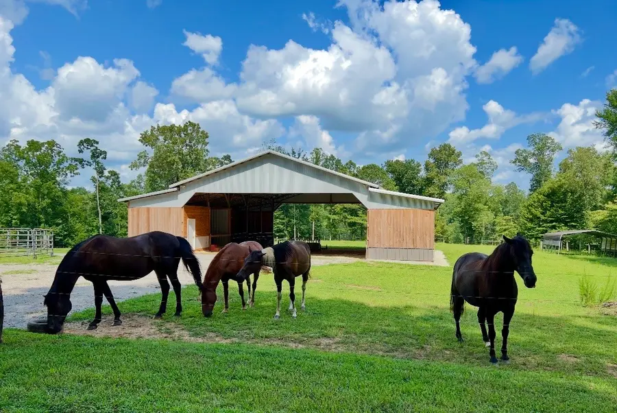 925 Bumpas Rd, Lawrenceburg, TN 38464 - #2