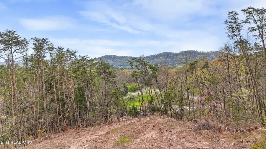 9 Reed Bull Rd, New Market, TN 37820 - #3