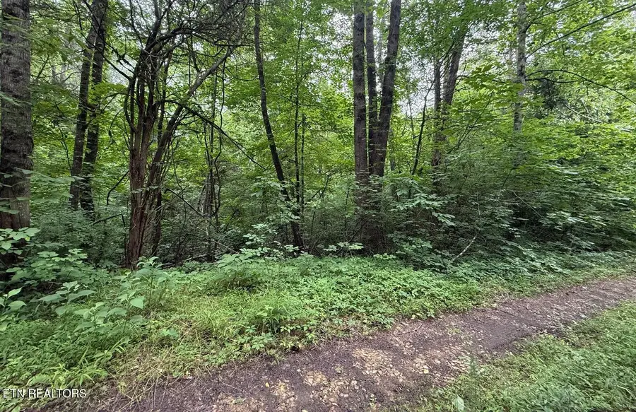 0 Fortunato Drive, White Pine, TN 37890 - #3