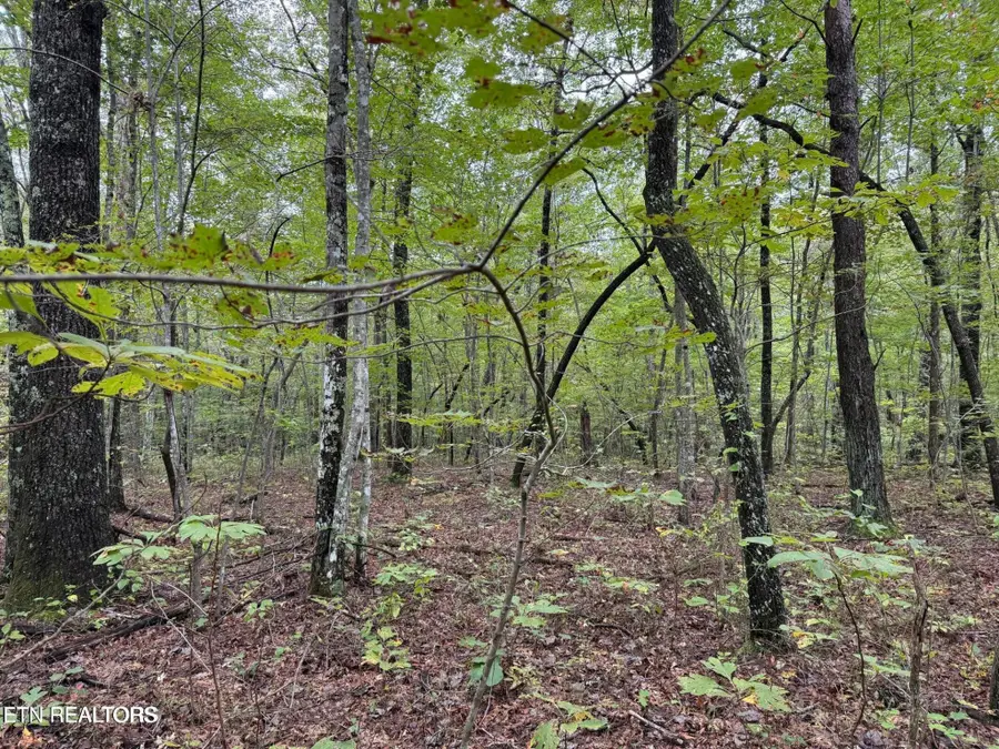 0 White Oak Rd, Monterey, TN 38574 - #3