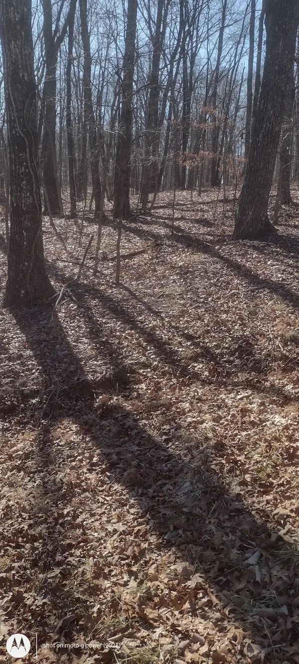 1 Ridge Cliff Drive, Monteagle, TN 37356