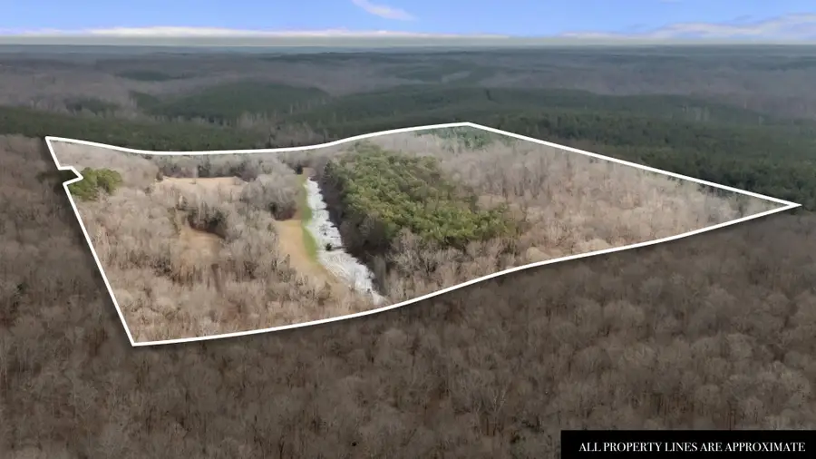 0 Malugin Hollow Lane, Hurricane Mills, TN 37078 - #3