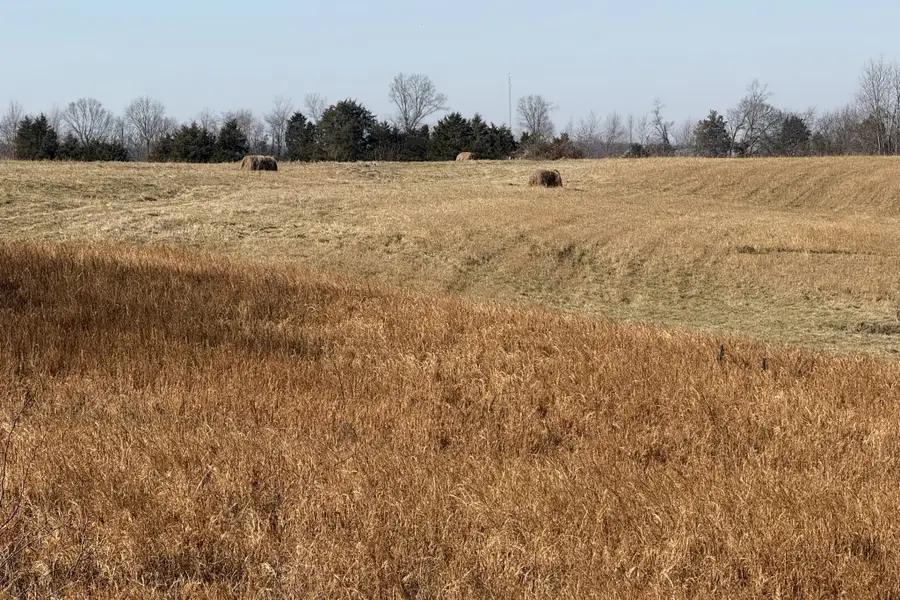 0 Roark Road, Franklin, KY 42134 - #3