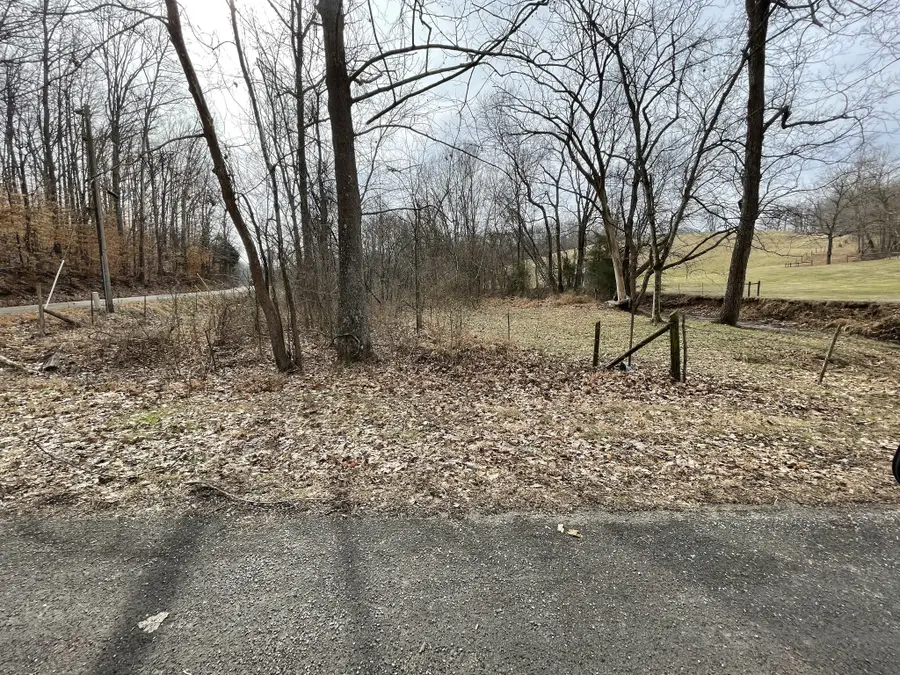 0 Wyatt Hollow Rd, Big Rock, TN 37023 - #2