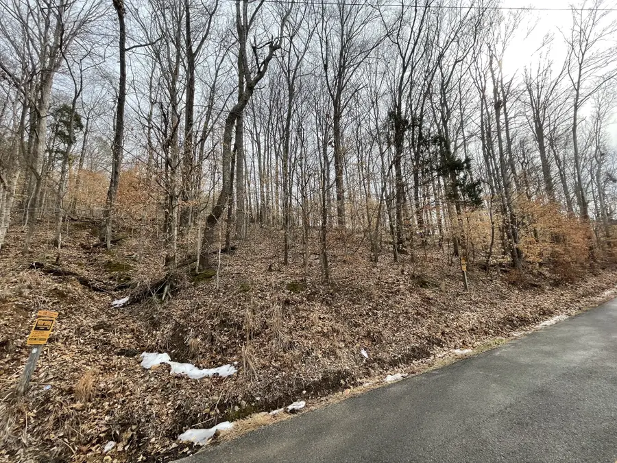 0 Wyatt Hollow Rd, Big Rock, TN 37023 - #3
