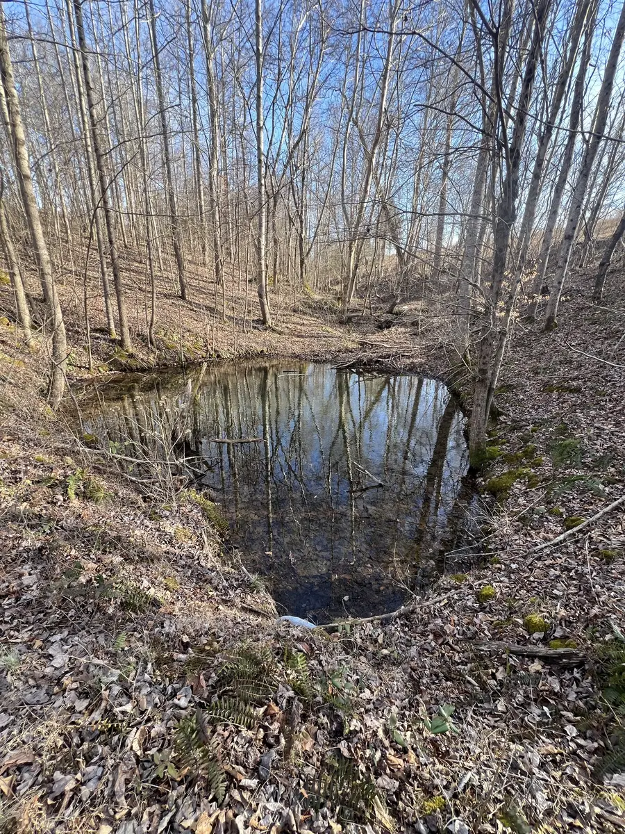 1716 Pleasant Ridge Rd, Goodspring, TN 38460 - #3