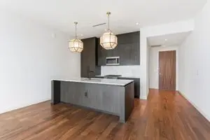 160 2nd Ave S #2003, Nashville, TN 37201 - #2