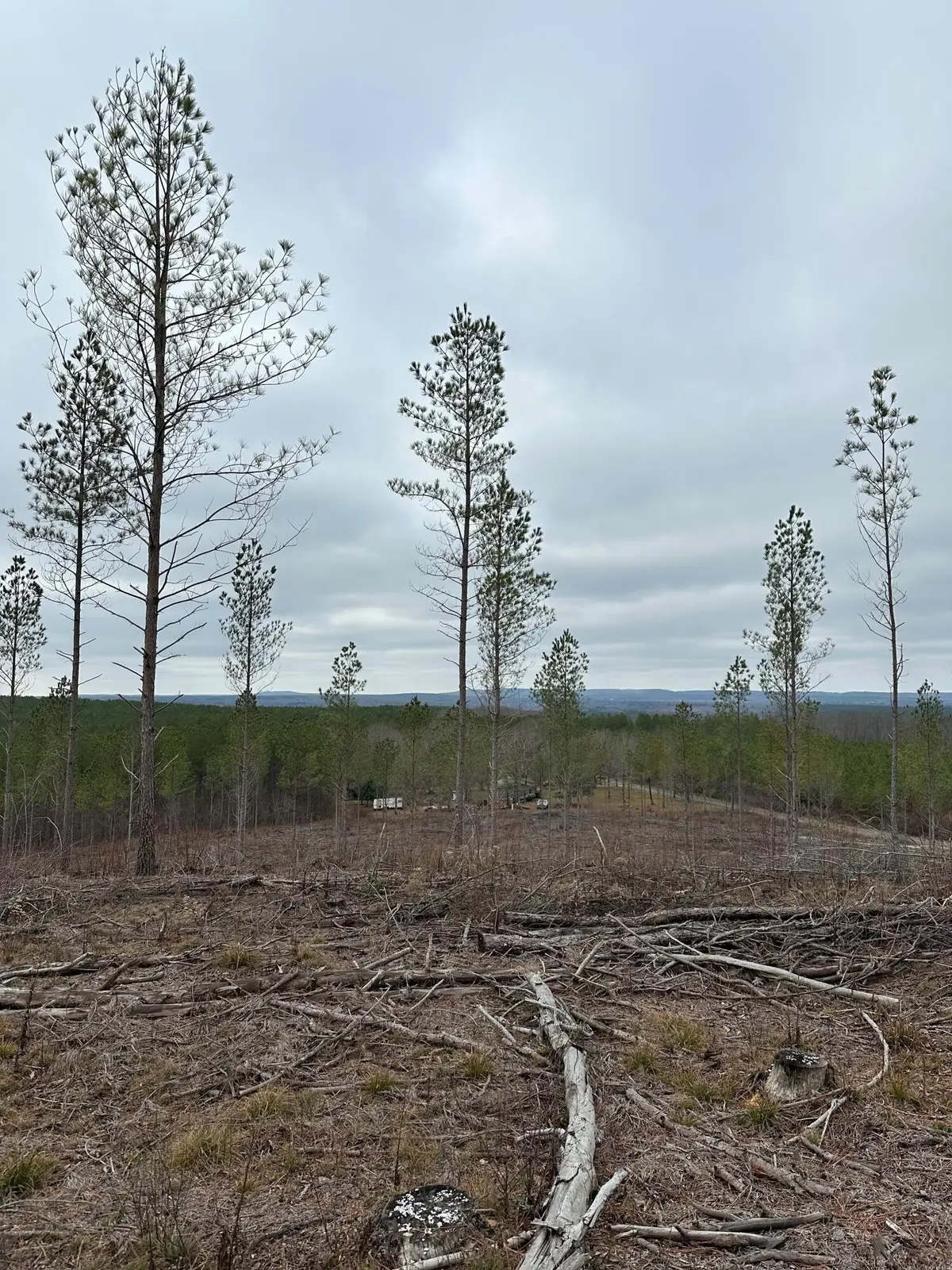 25 Thomas Springs Road, Crossville, TN 38572 - #1