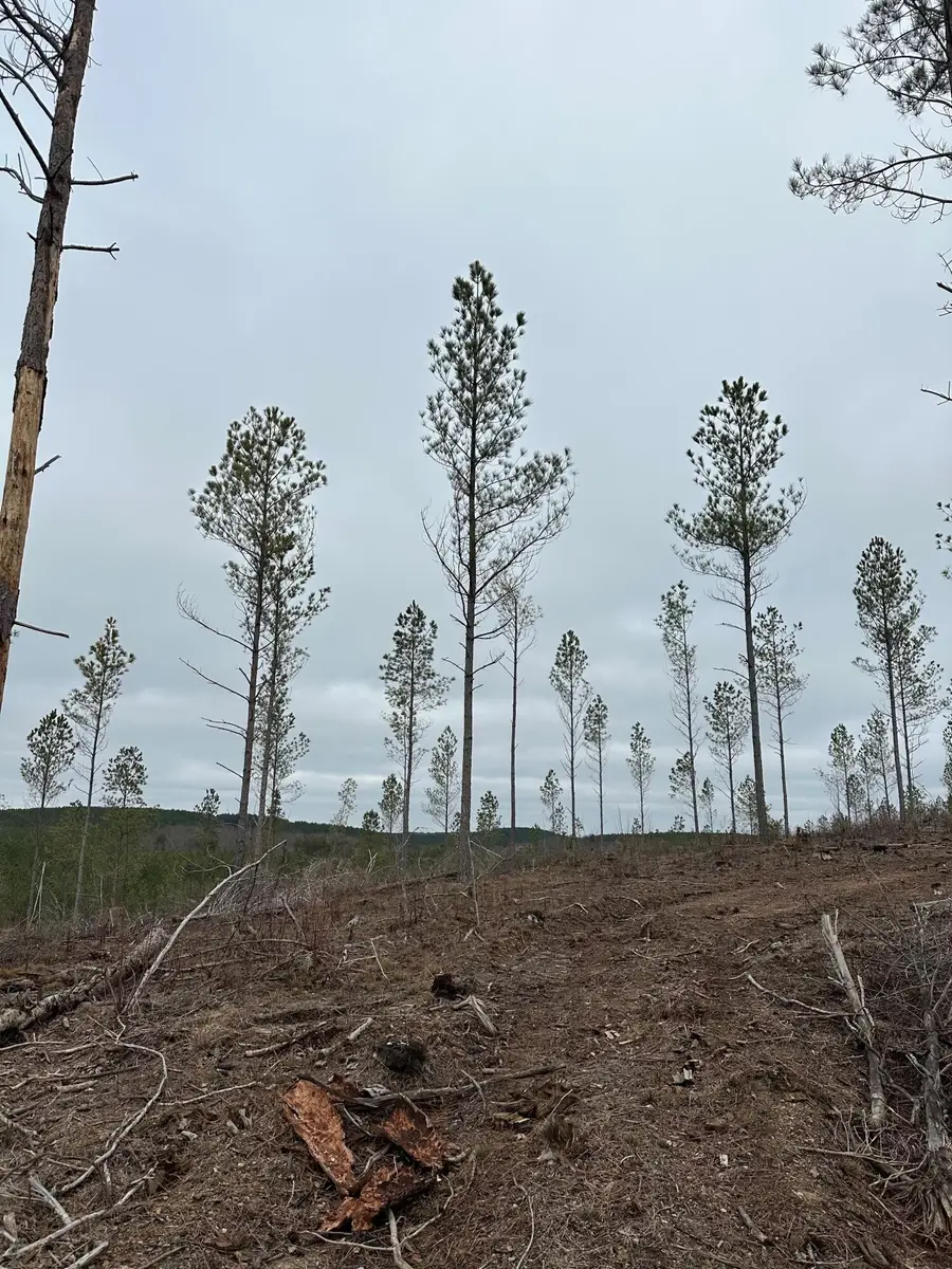 25 Thomas Springs Road, Crossville, TN 38572 - #2