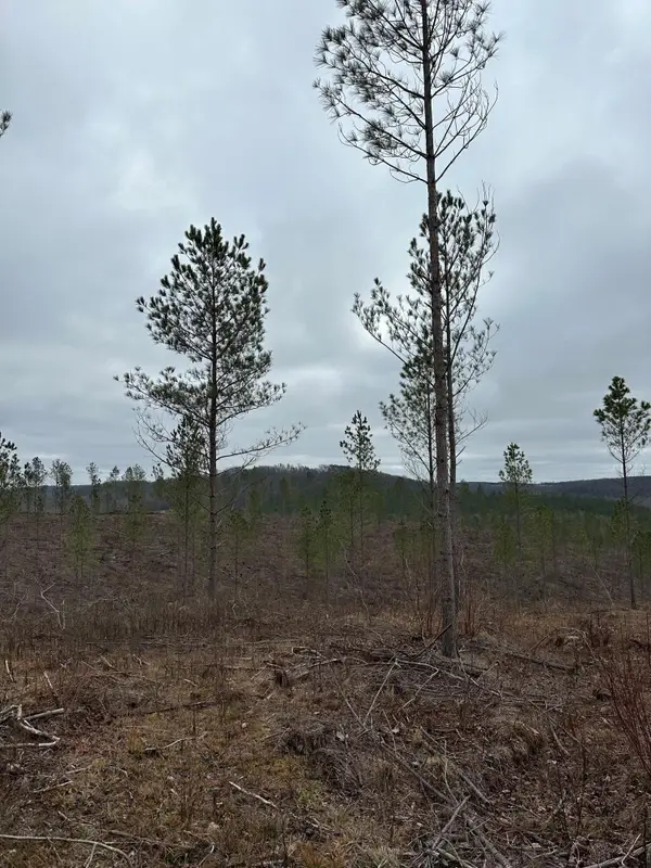 24 Thomas Springs Road, Crossville, TN 38572