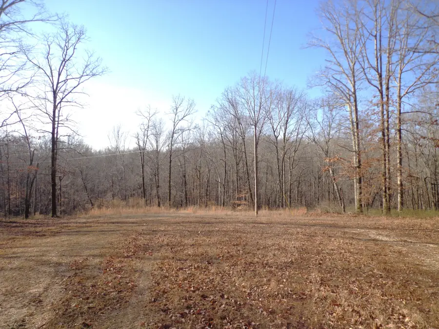 0 Deer Grass Ln, Hurricane Mills, TN 37078 - #2