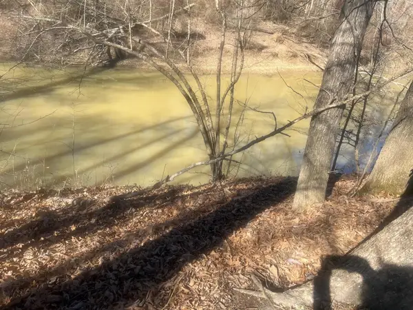 35 Towboat Ln, Adamsville, TN 38310