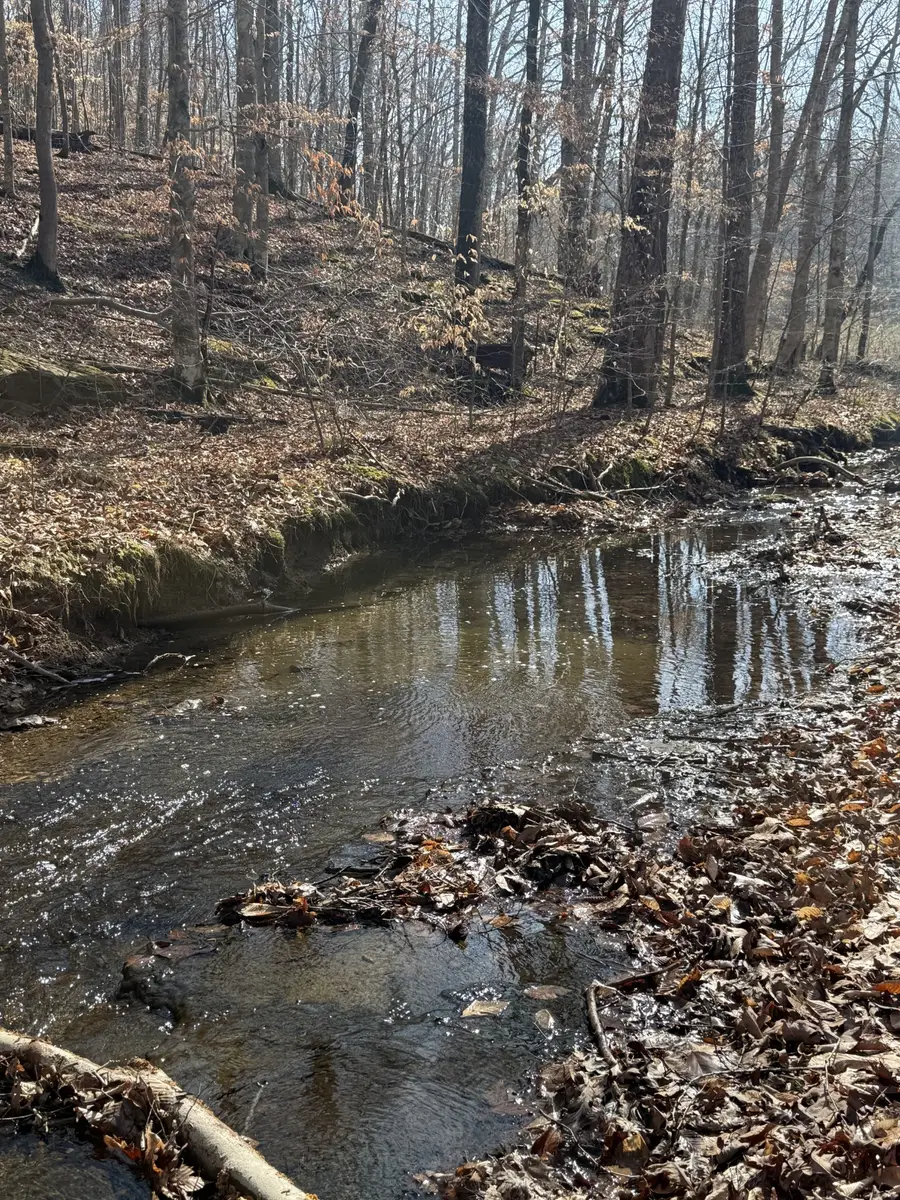 0 Old Hwy 96, Franklin, TN 37064 - #2