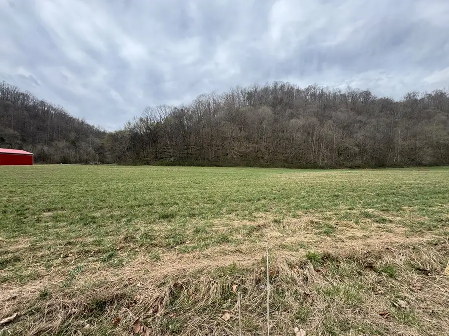 561 Pine Lick Rd, Whitleyville, TN 38588 - #2