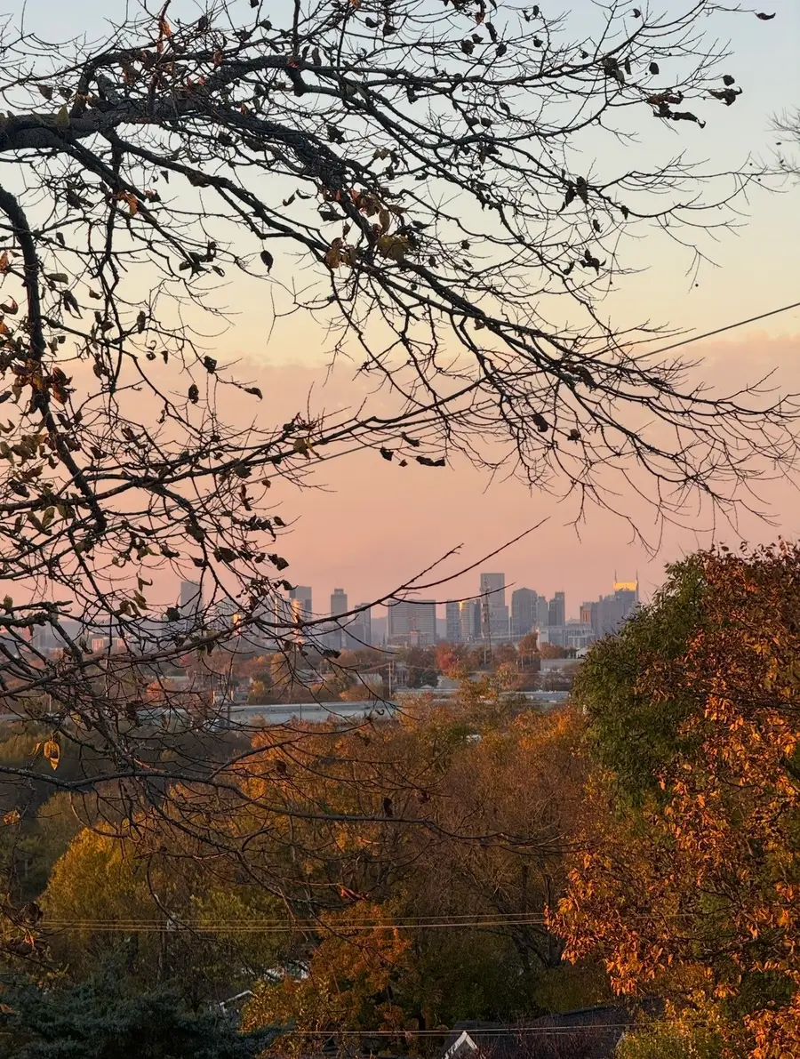 3104 Meade Ave, Nashville, TN 37211 - #3