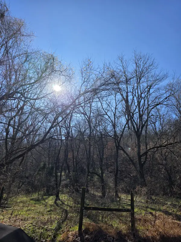 0 Rock Springs Rd, Ethridge, TN 38456