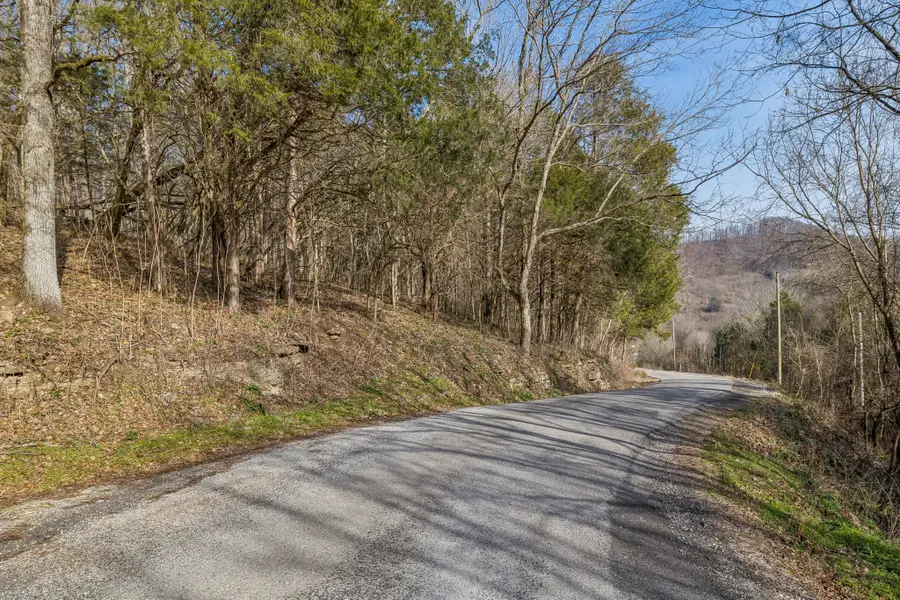 0 Dyer Branch Road, Gordonsville, TN 38563 - #3