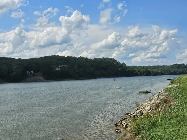 0 Hardin Bottom River Rd, Clifton, TN 38425