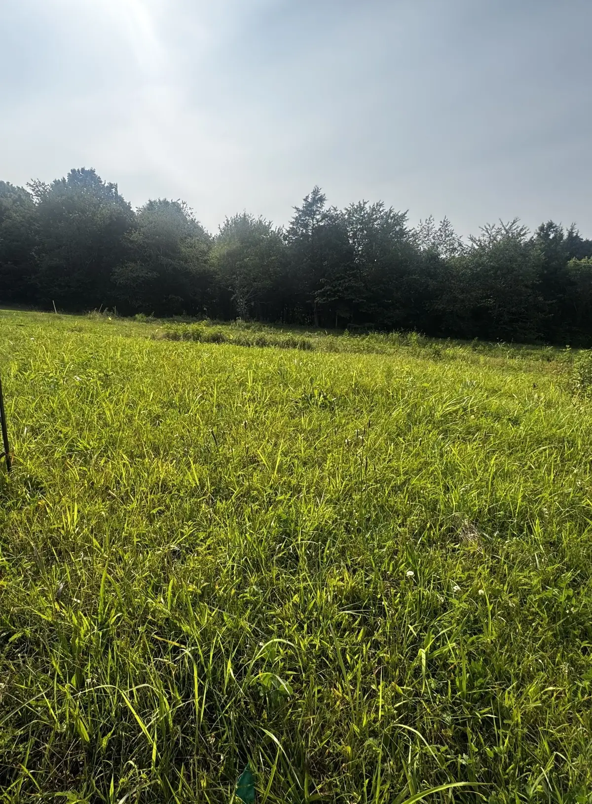 6481 Kelly Willis Rd, Greenbrier, TN 37073 - #1