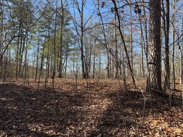 1 South Pittsburg Mountain, South Pittsburg, TN 37380 - #2